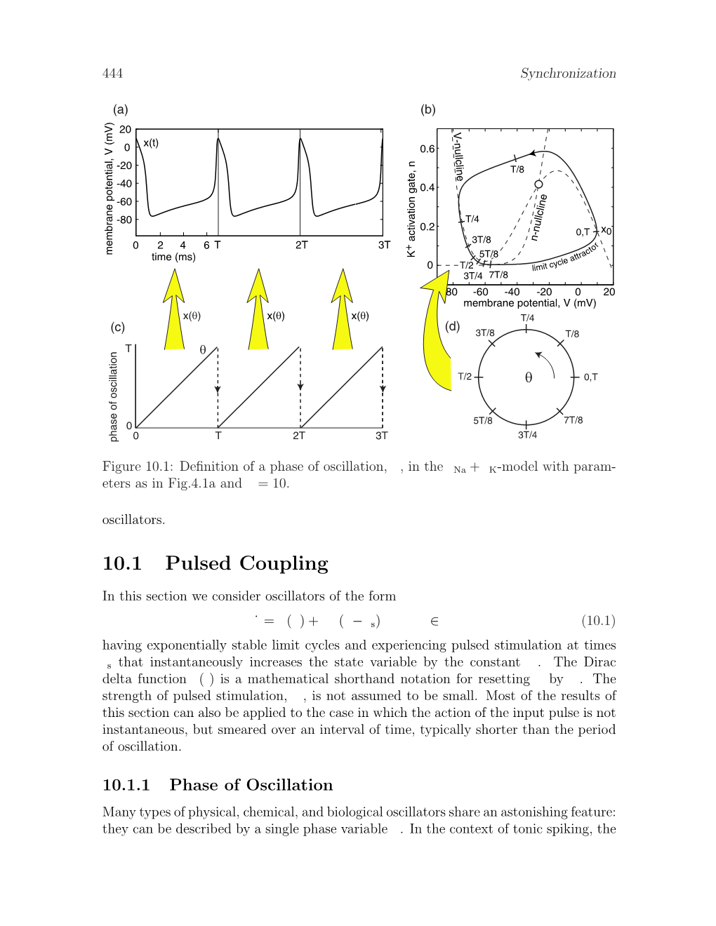 10.1 Pulsed Coupling