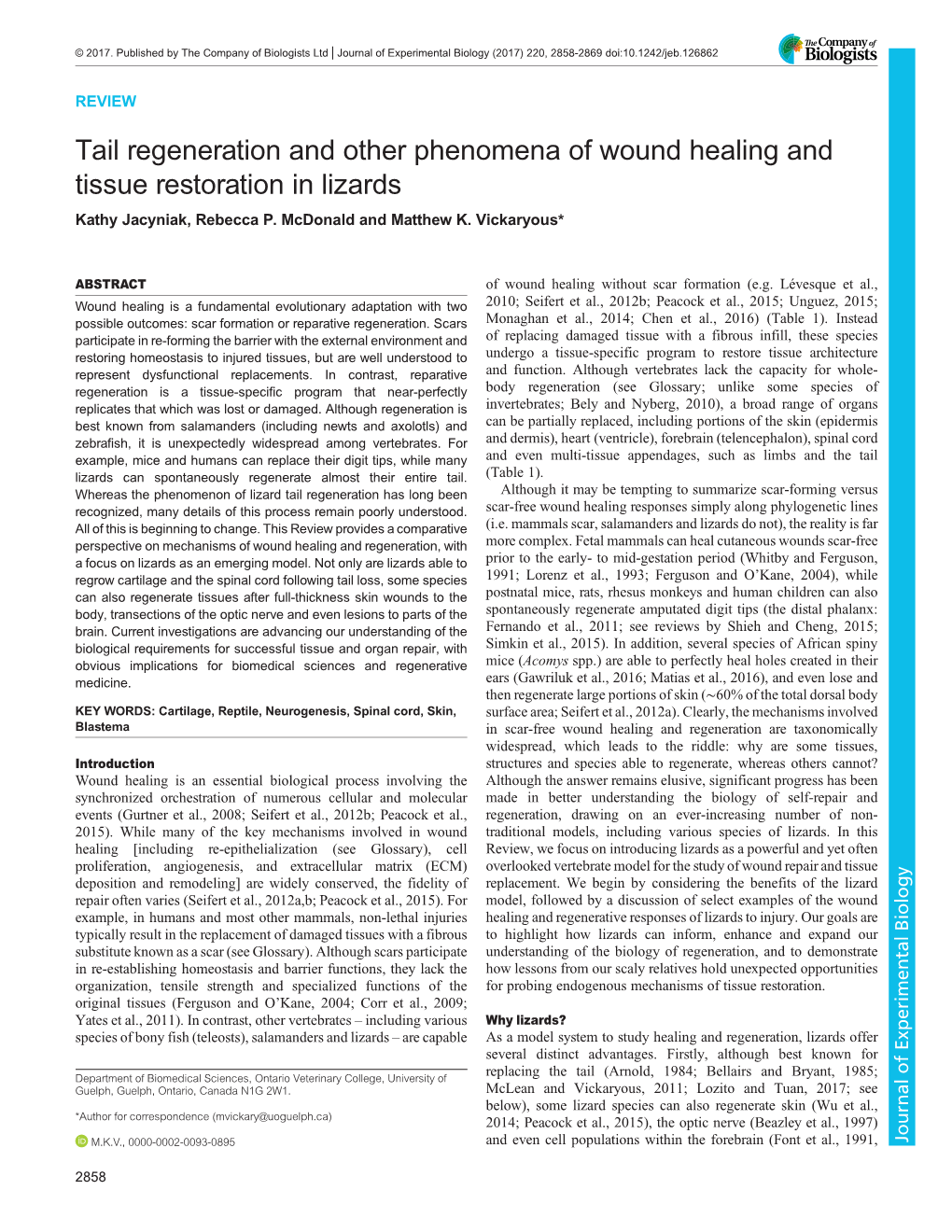 Tail Regeneration and Other Phenomena of Wound Healing and Tissue Restoration in Lizards Kathy Jacyniak, Rebecca P