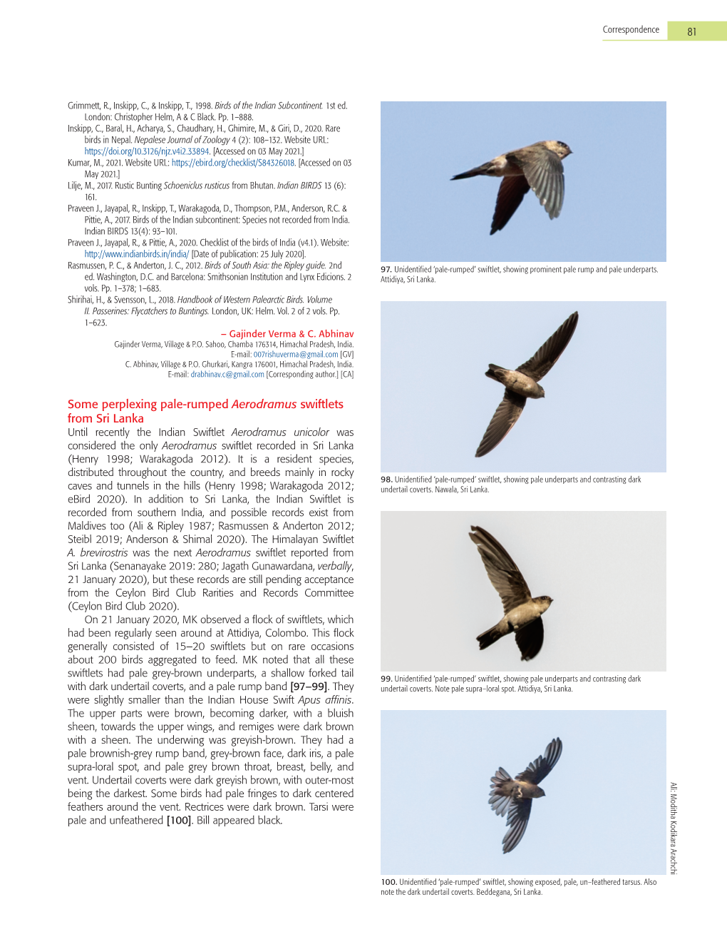 Some Perplexing Pale-Rumped Aerodramus Swiftlets from Sri Lanka