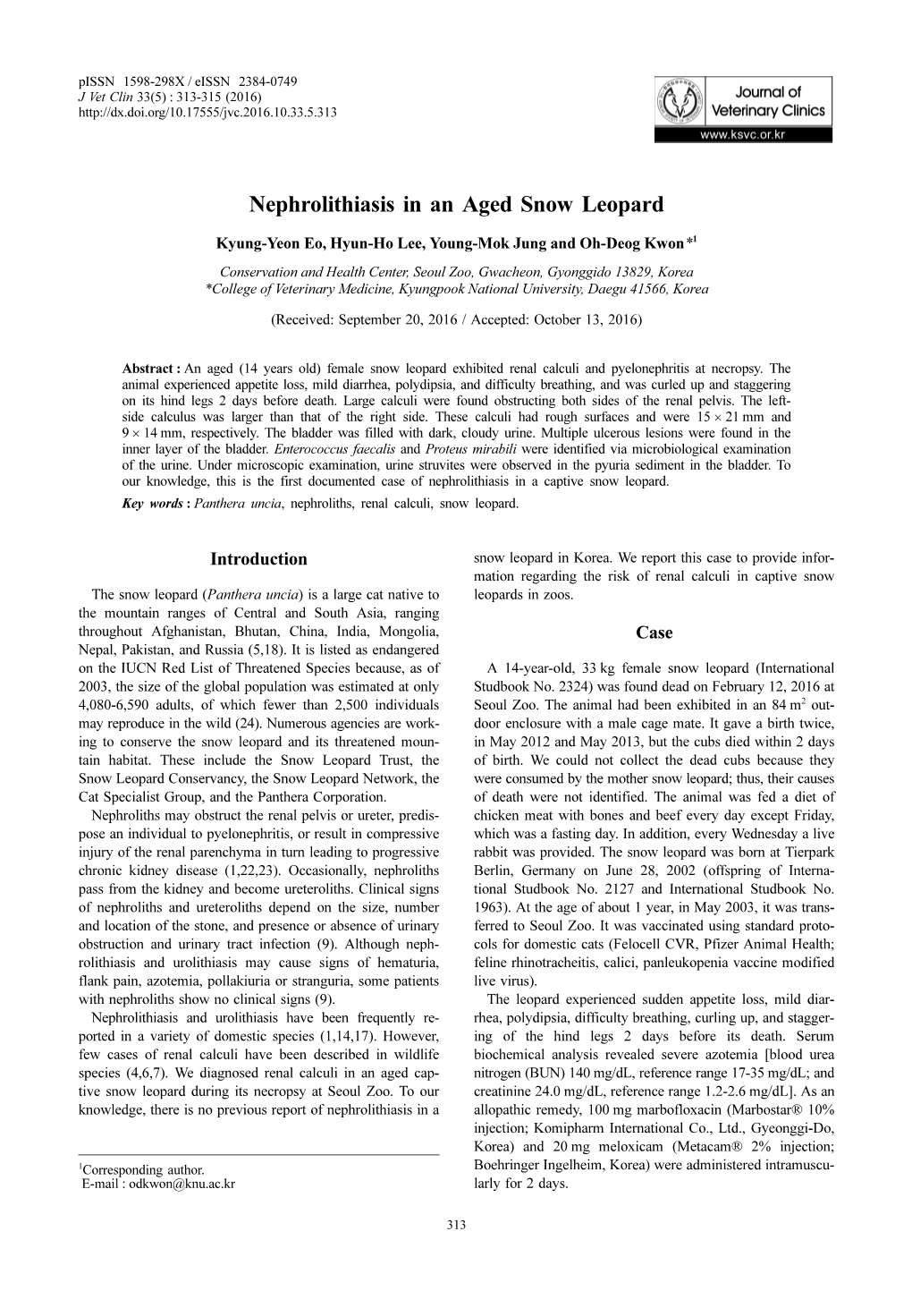 Nephrolithiasis in an Aged Snow Leopard