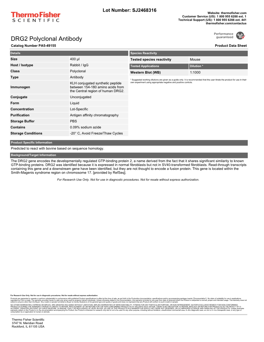 DRG2 Polyclonal Antibody Catalog Number PA5-49155 Product Data Sheet