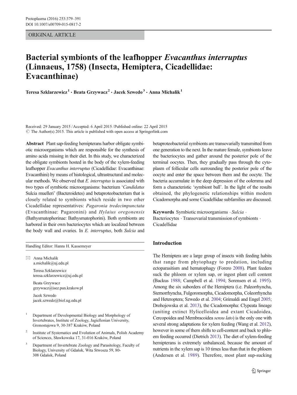 Bacterial Symbionts of the Leafhopper Evacanthus Interruptus (Linnaeus, 1758) (Insecta, Hemiptera, Cicadellidae: Evacanthinae)