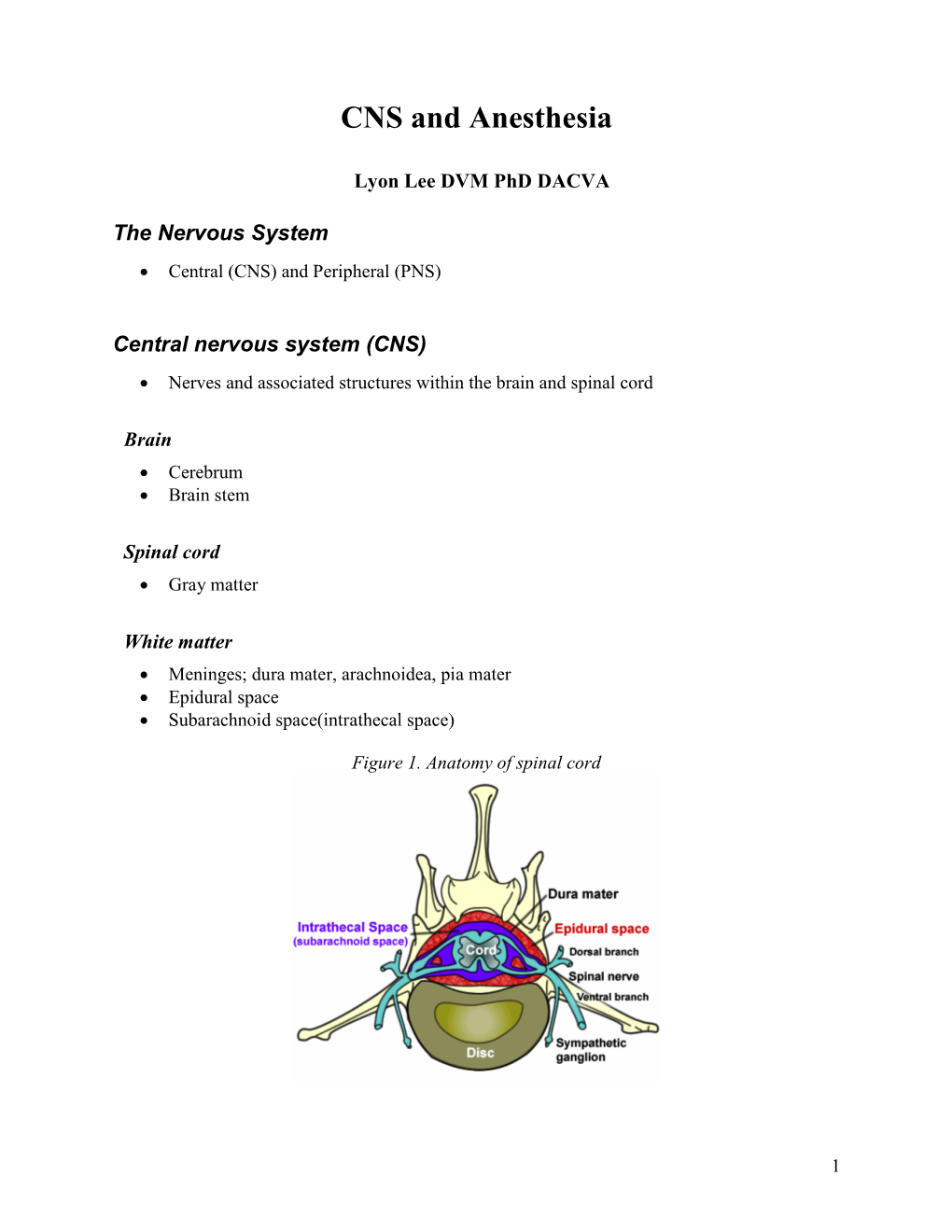 CNS and Anesthesia