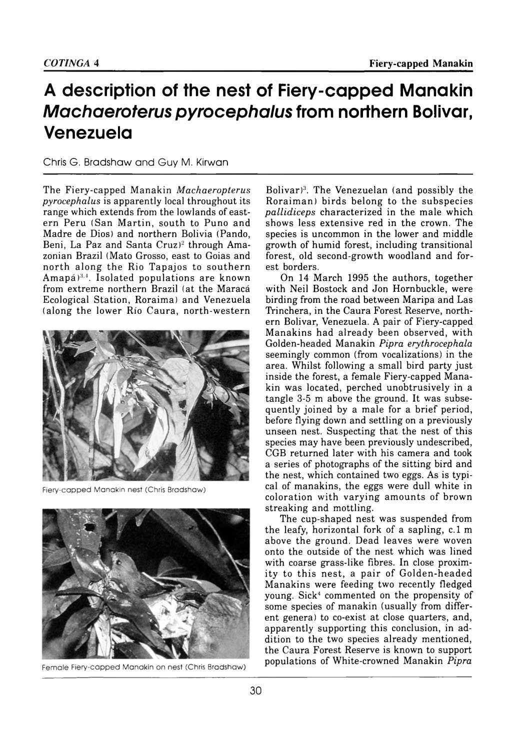 A Description of the Nest of Fiery-Capped Manakin Machaeroterus Pyrocephalus from Northern Bolivar, V En Ezu Ela