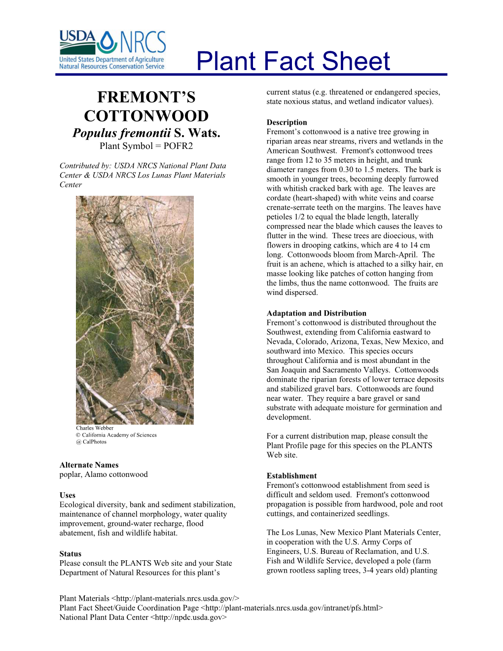 Fremont's Cottonwood Trees Range from 12 to 35 Meters in Height, and Trunk Contributed By: USDA NRCS National Plant Data Diameter Ranges from 0.30 to 1.5 Meters