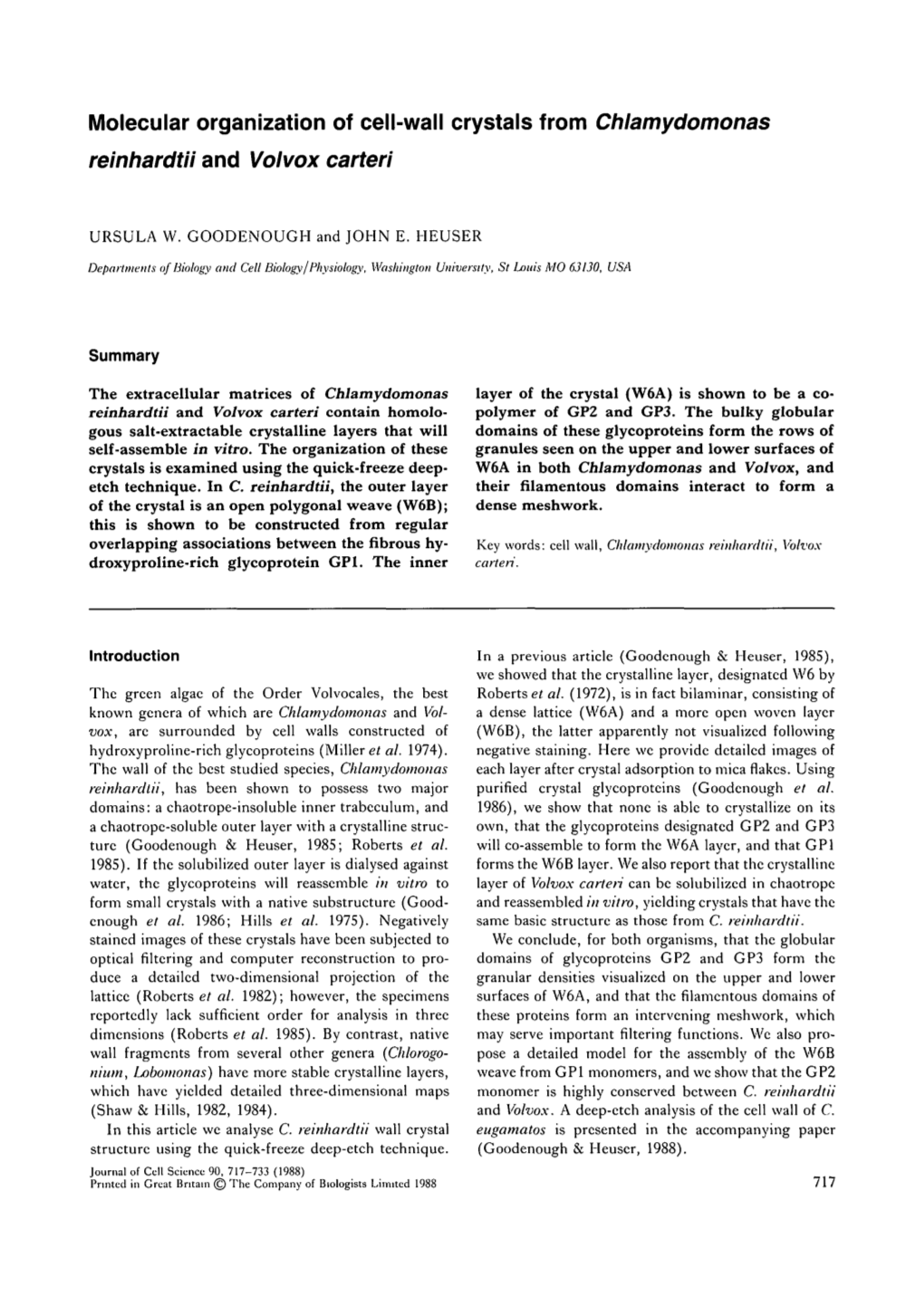 Molecular Organization of Cell-Wall Crystals from Chlamydomonas Reinhardtii and Volvox Carteri