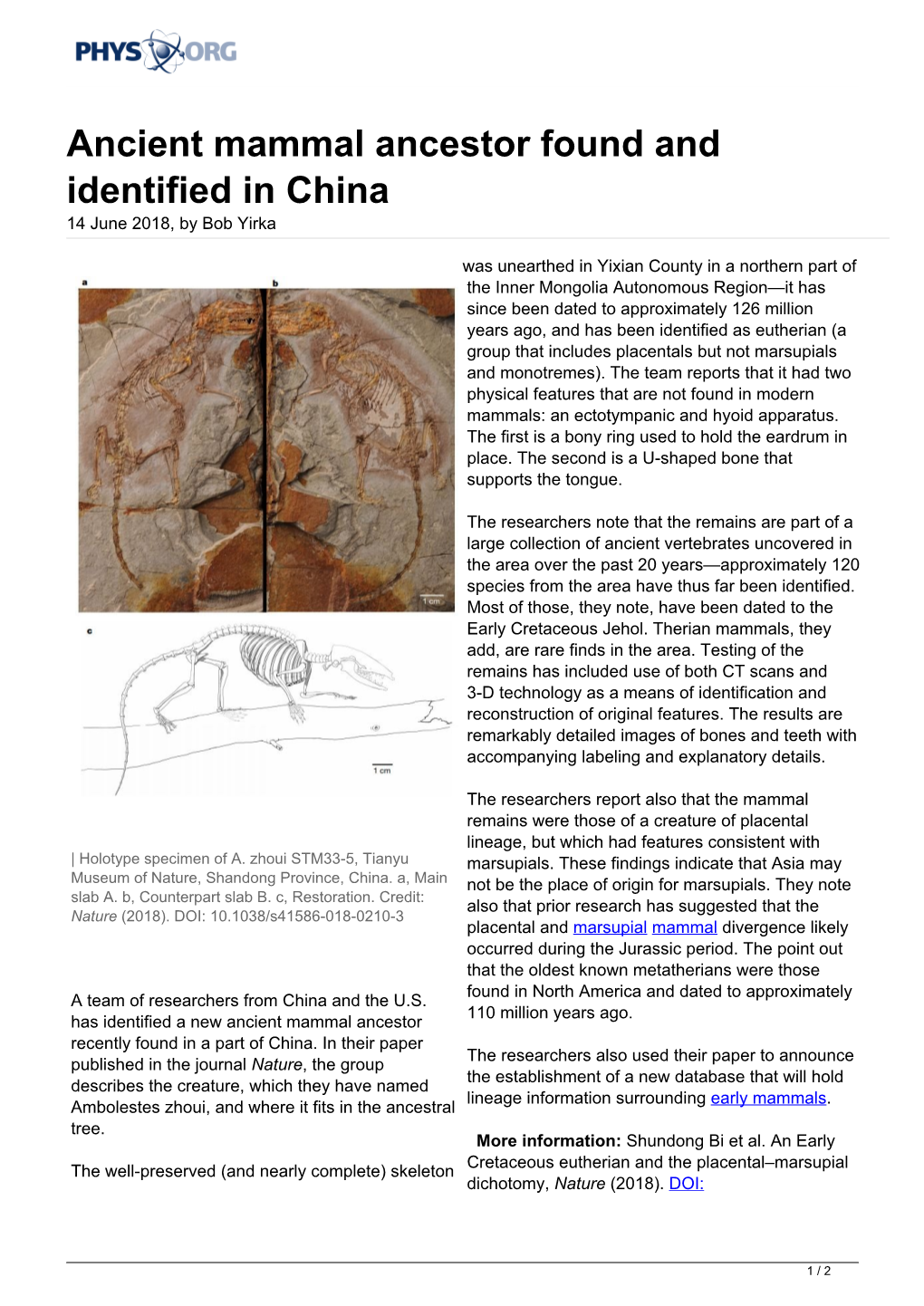 Ancient Mammal Ancestor Found and Identified in China 14 June 2018, by Bob Yirka