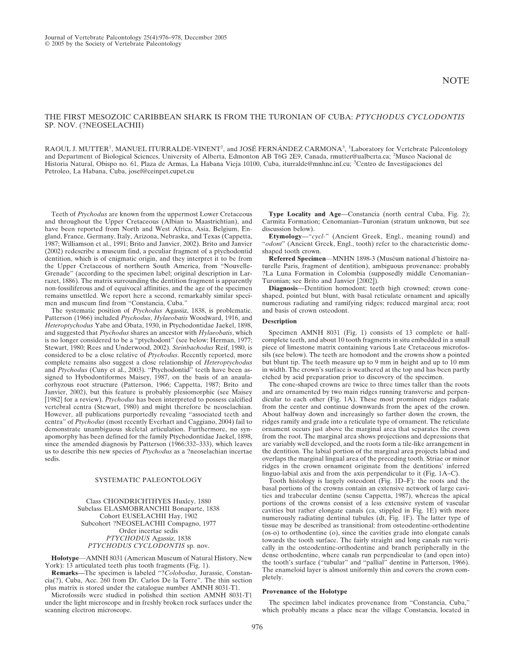 The First Mesozoic Caribbean Shark Is from the Turonian of Cuba: Ptychodus Cyclodontis Sp. Nov. (?Neoselachii)