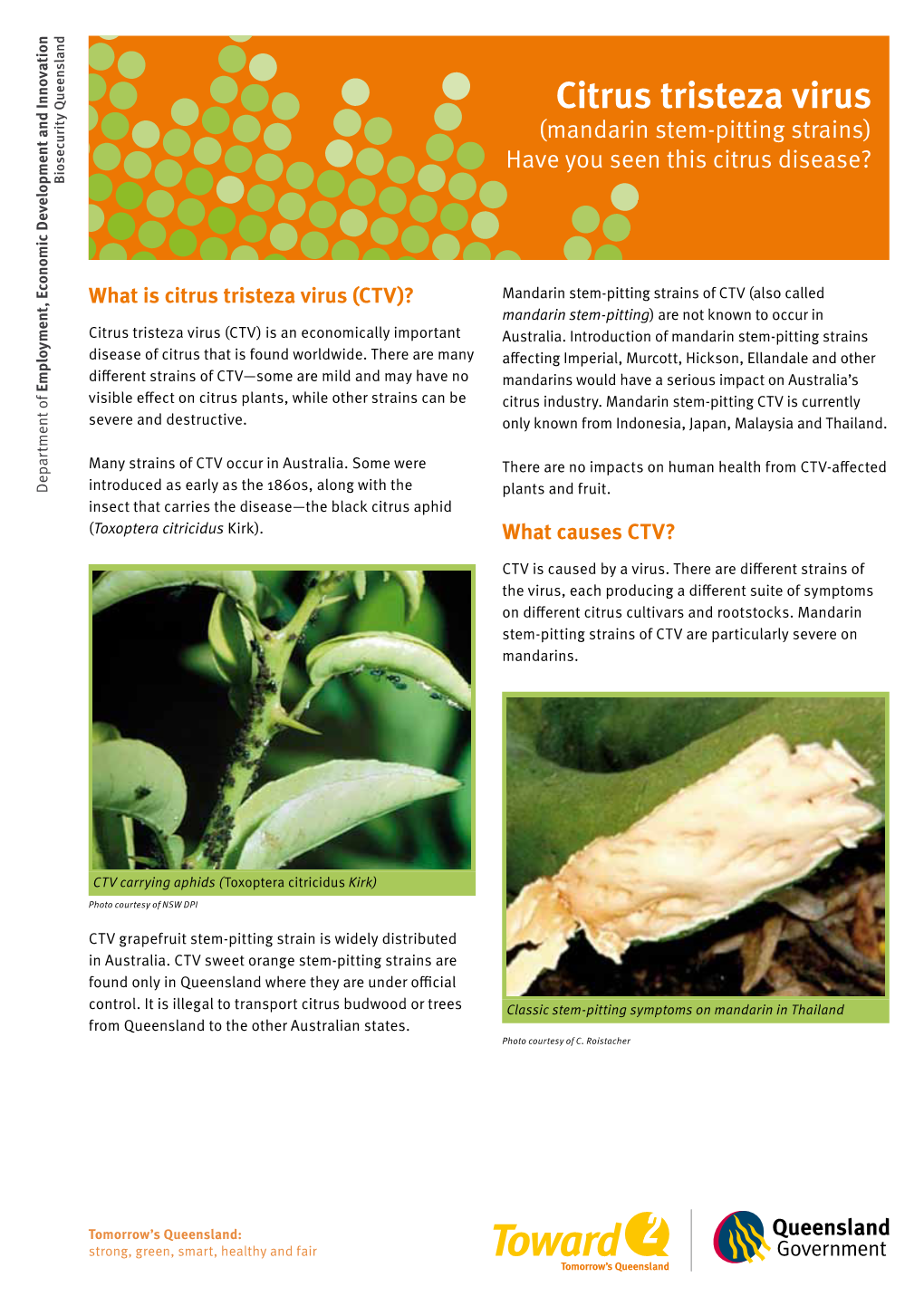 Citrus Tristeza Virus Fact Sheet