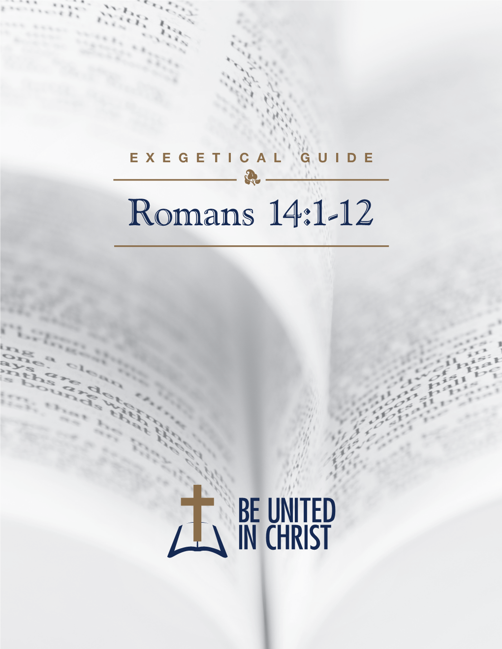 Romans 14:1-12 Be United in Christ