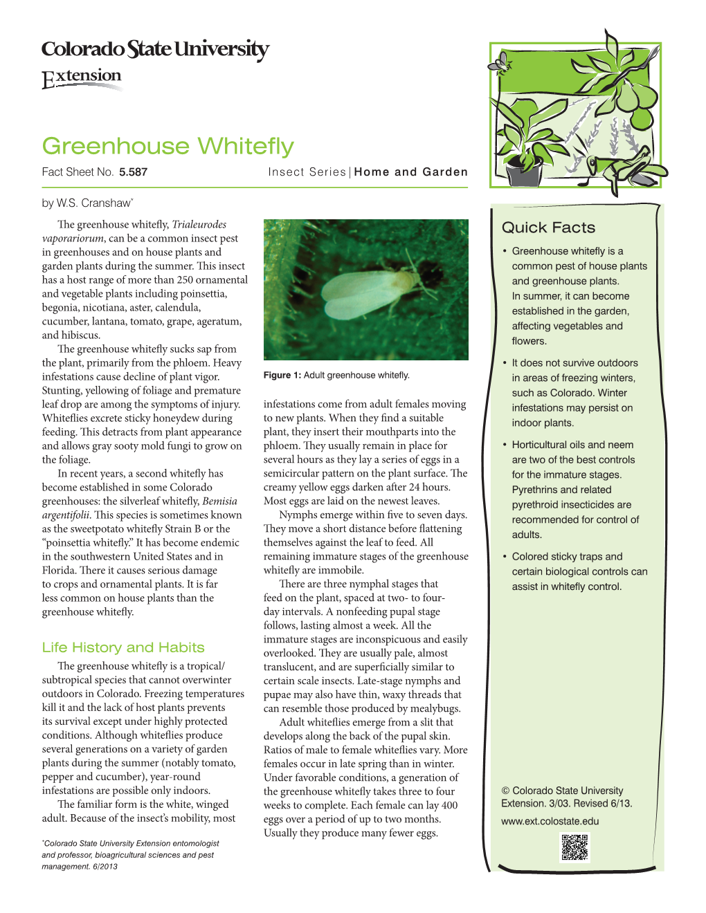 Greenhouse Whitefly Fact Sheet No