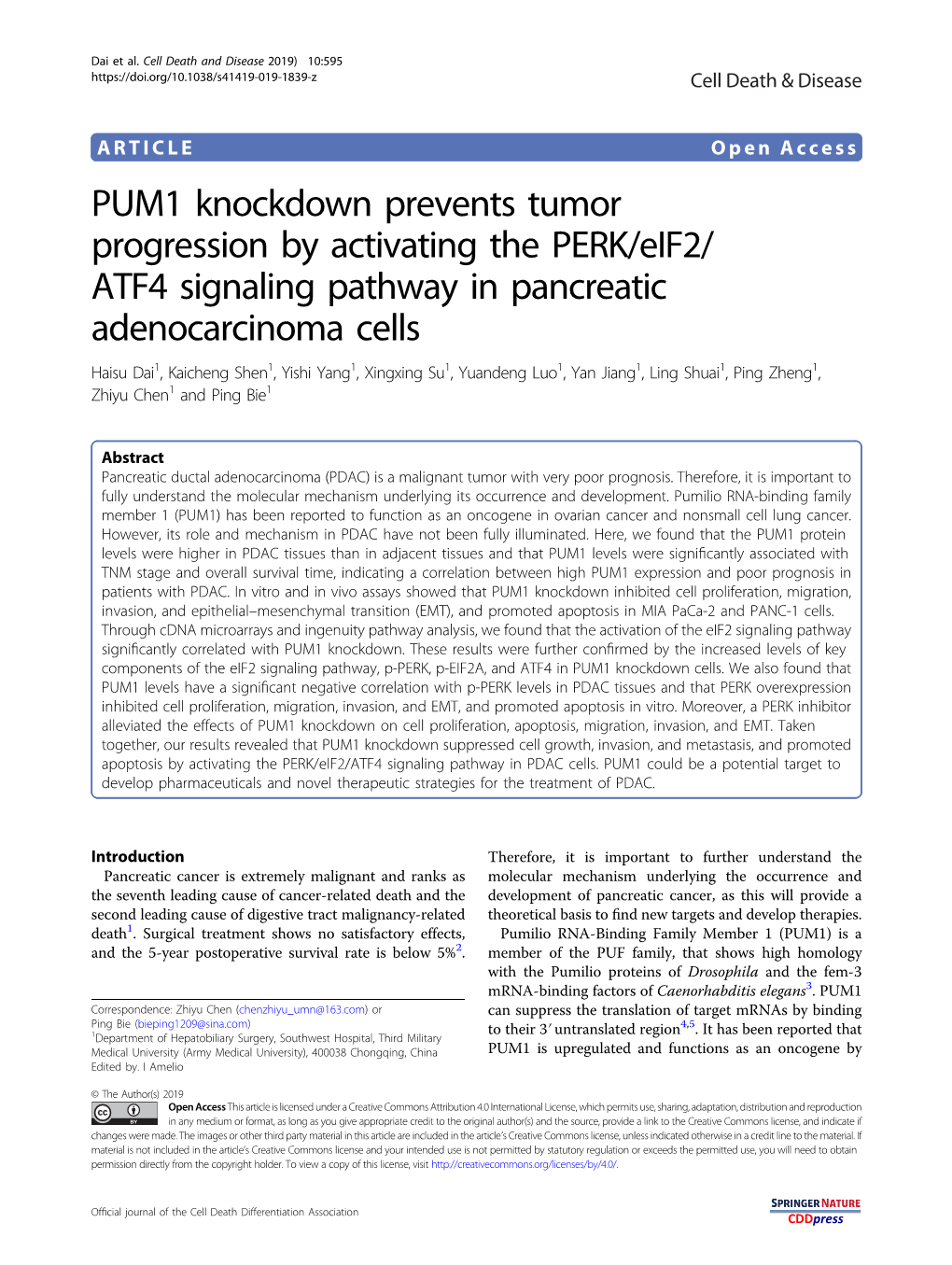 PUM1 Knockdown Prevents Tumor Progression by Activating the PERK