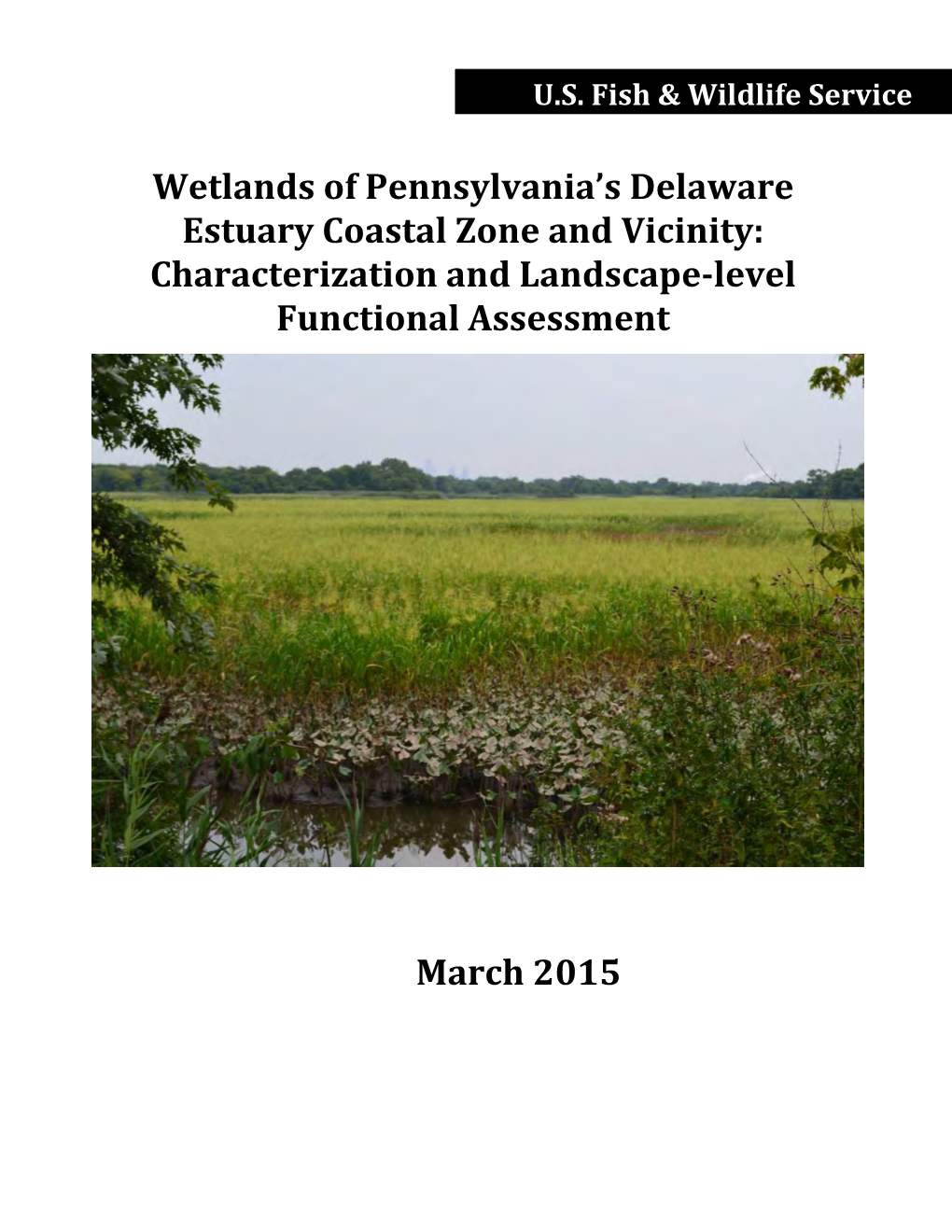 Wetlands of Pennsylvania's Delaware Estuary Coastal Zone and Vicinity