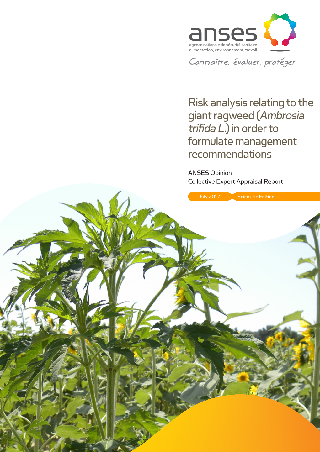 ANSES Opinion and Report on Conducting a Risk