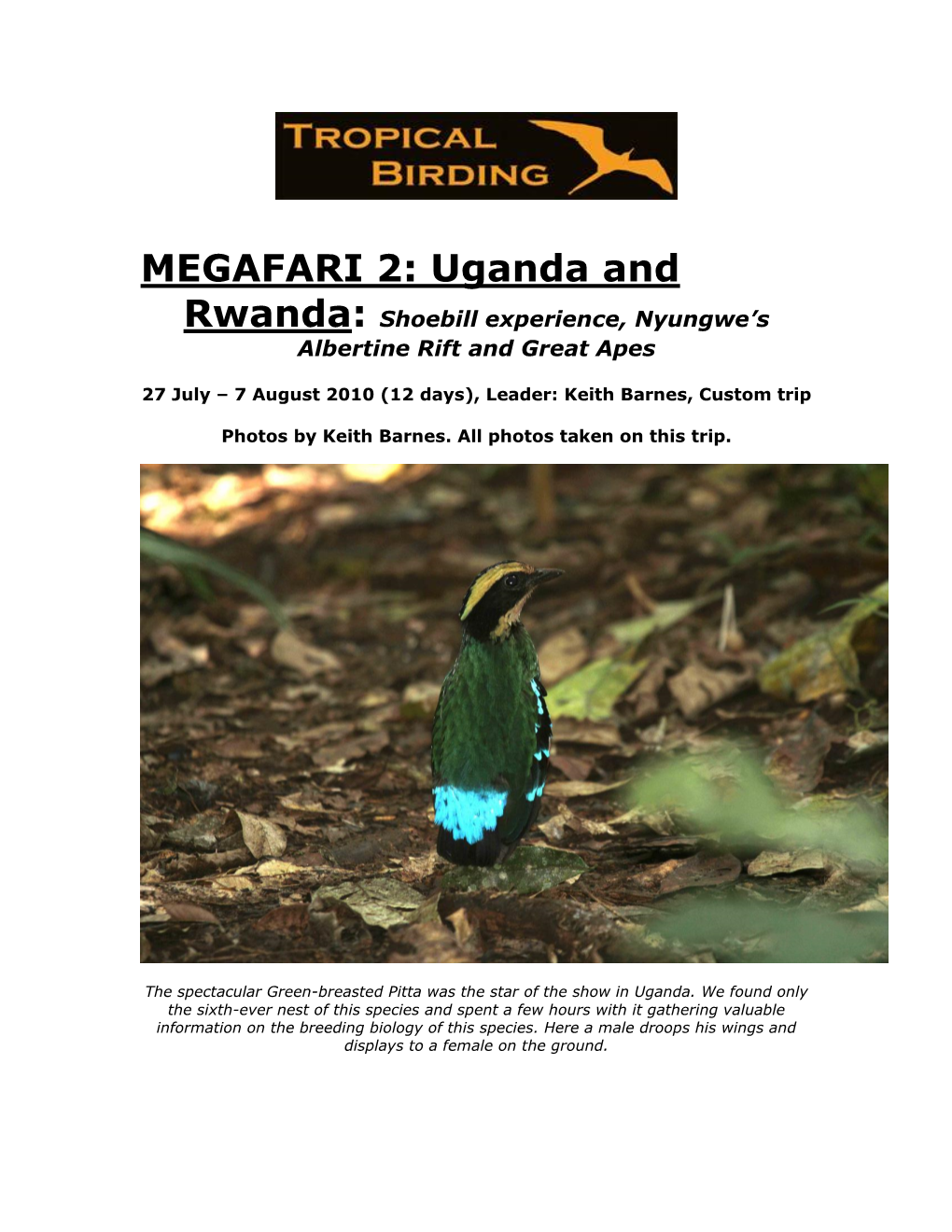 Uganda and Rwanda: Shoebill Experience, Nyungwe’S Albertine Rift and Great Apes