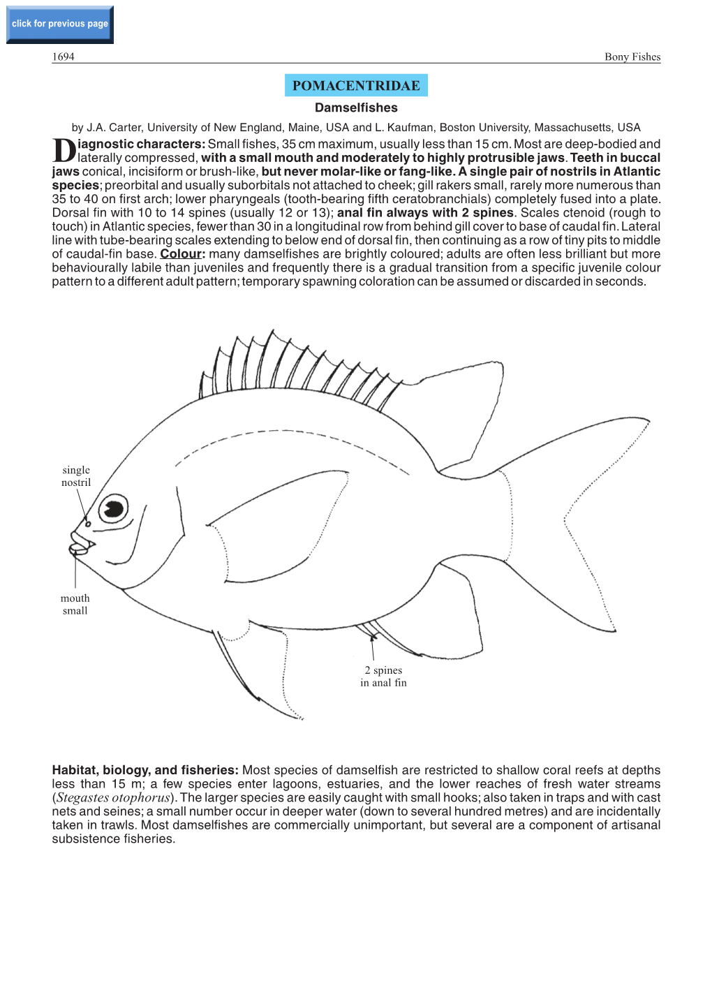 POMACENTRIDAE Damselfishes by J.A