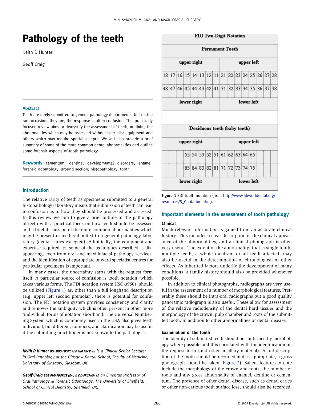 Pathology of the Teeth