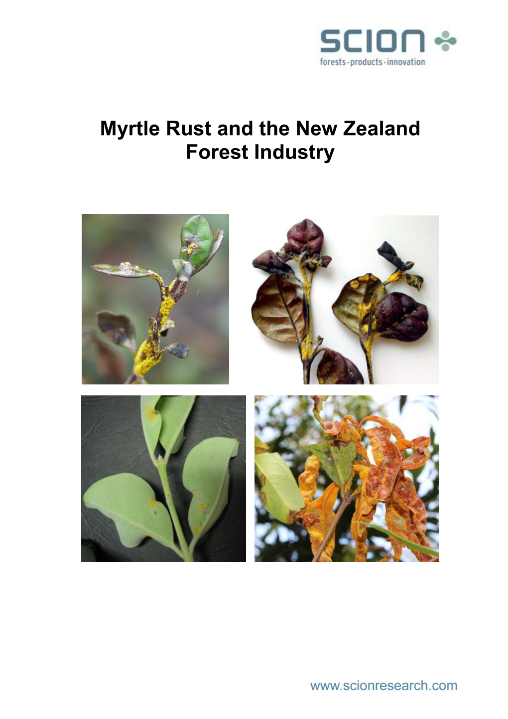 Myrtle Rust and the New Zealand Forest Industry