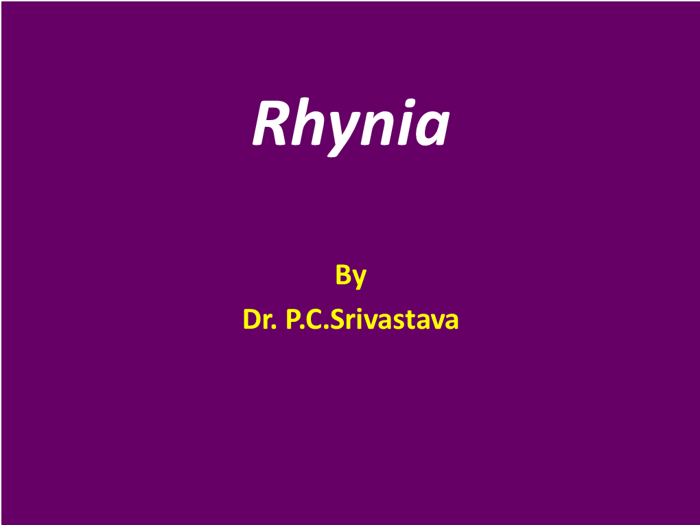 Gametophyte of Rhynia