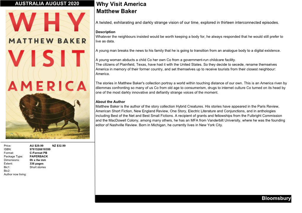 Why Visit America Matthew Baker