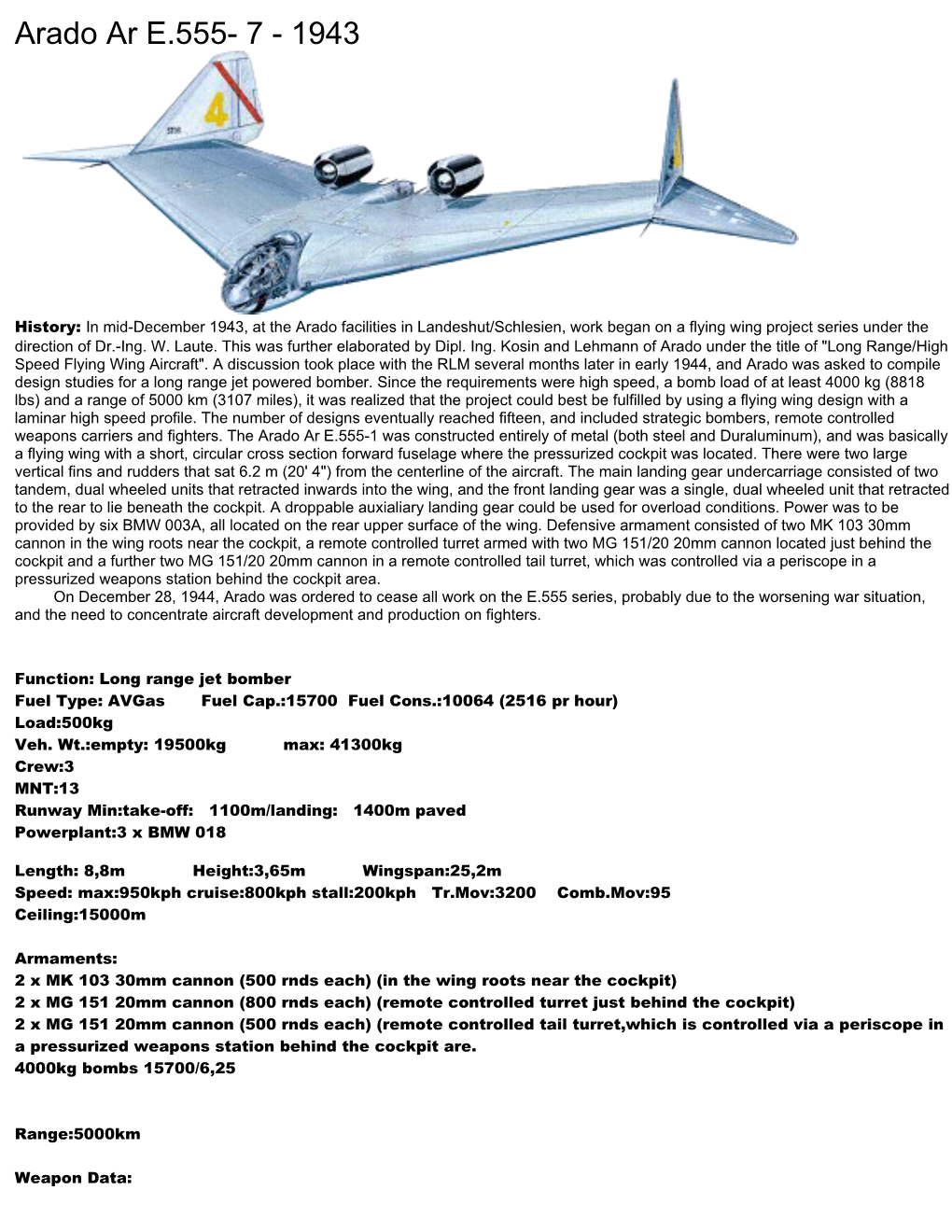 Function:Long Range Jet Bomber