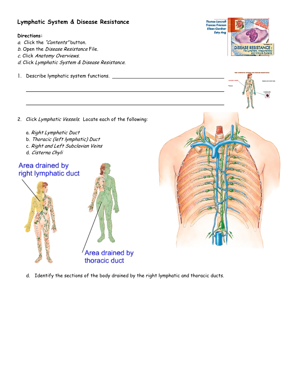 Endocrine System: Overview