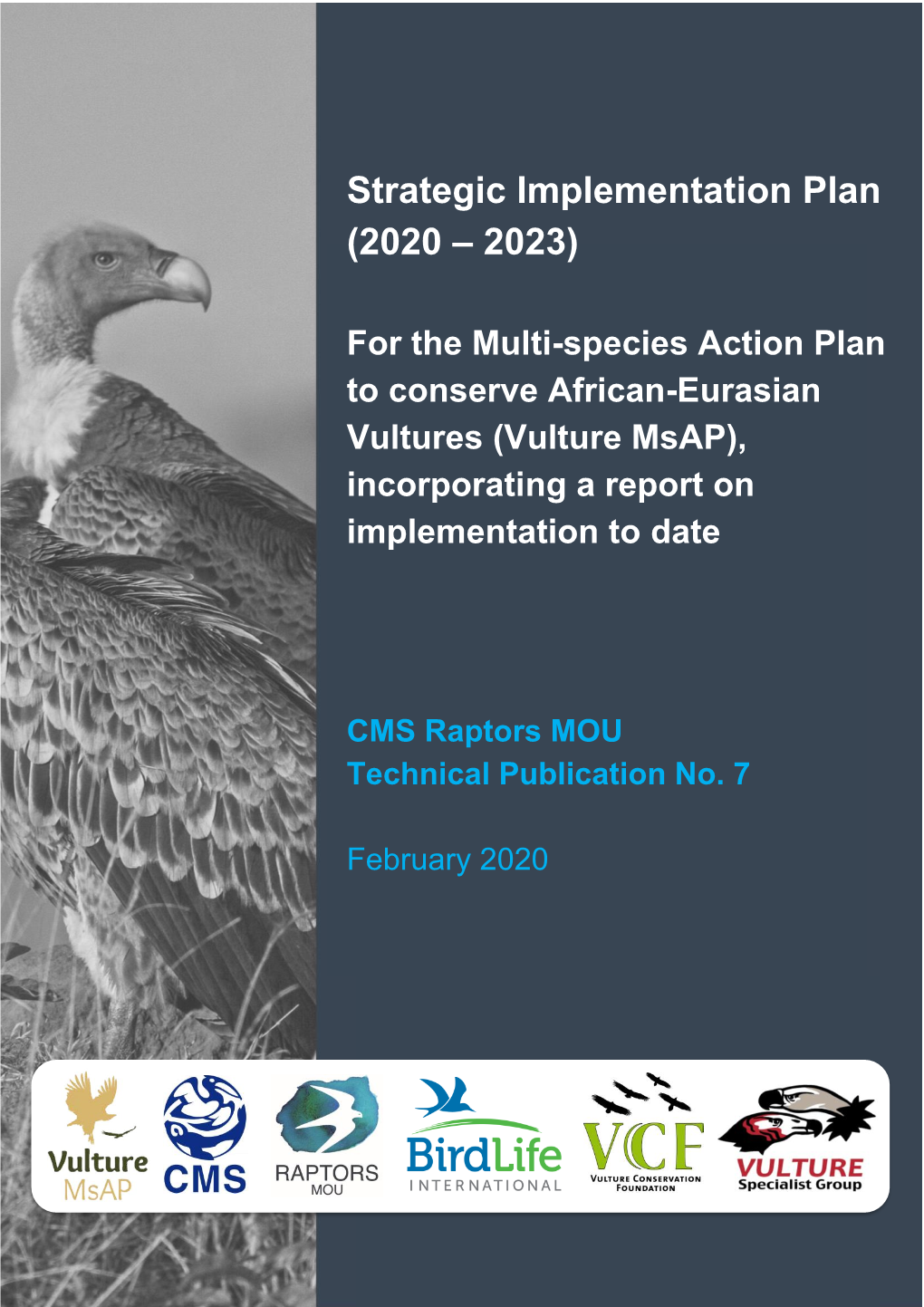 Strategic Implementation Plan (2020 – 2023)