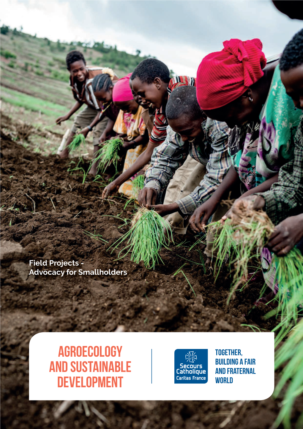 Agroecology and Sustainable