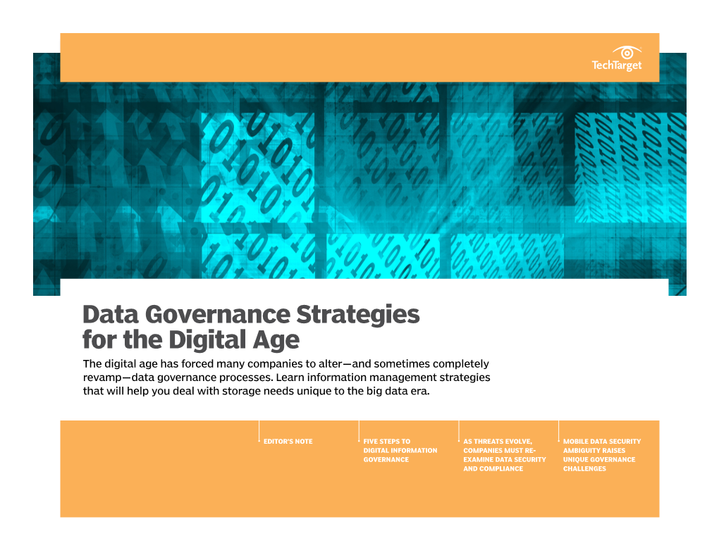 Data Governance Strategies for the Digital Age the Digital Age Has Forced Many Companies to Alter—And Sometimes Completely Revamp—Data Governance Processes