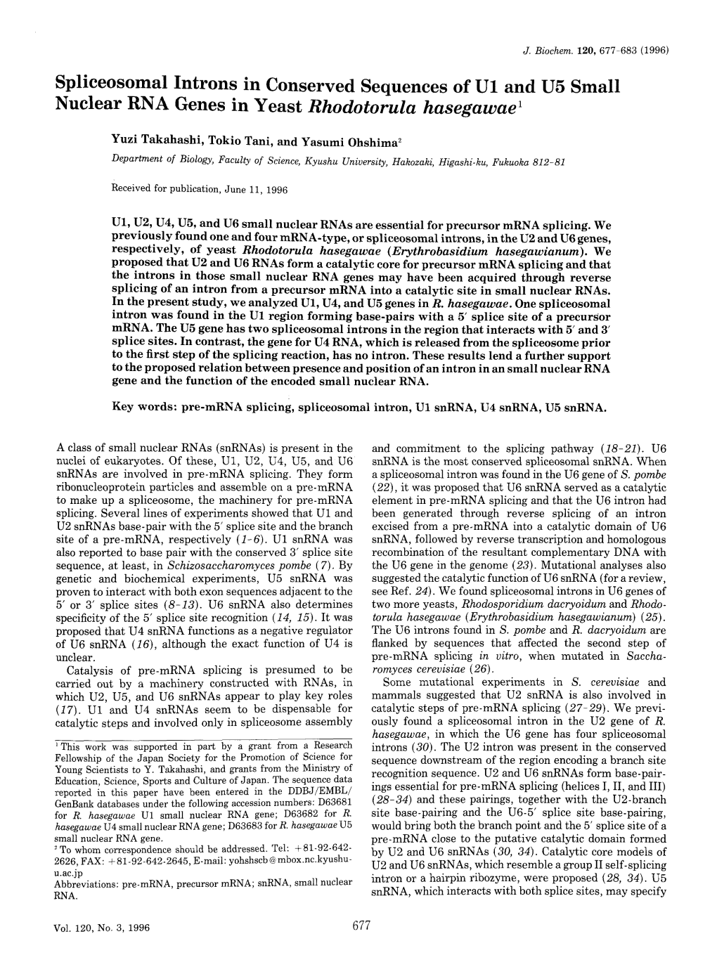 Spliceosomal Introns in Conserved Sequences of U1 and U5 Small Nuclear RNA Genes in Yeast Rhodotorula Hasegawae1