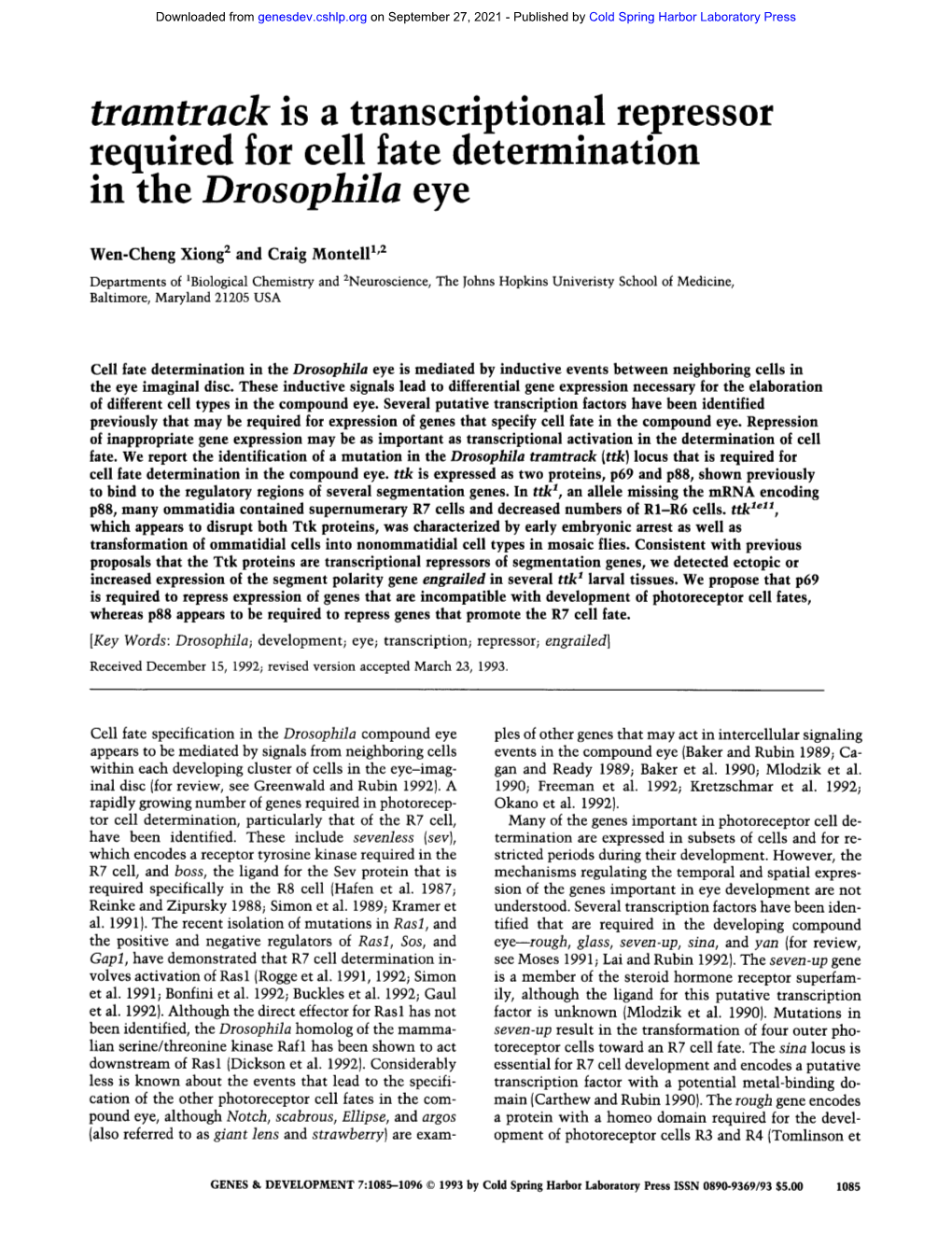 In the Drosophila Eye