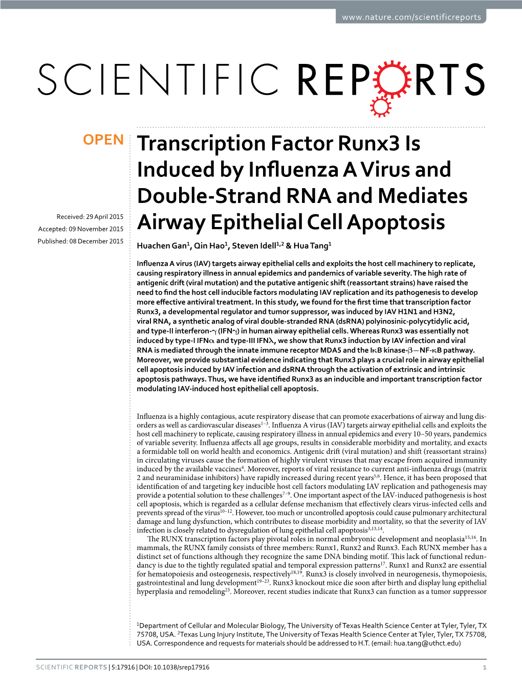 Transcription Factor Runx3 Is Induced by Influenza a Virus and Double-Strand RNA and Mediates Airway Epithelial Cell Apoptosis