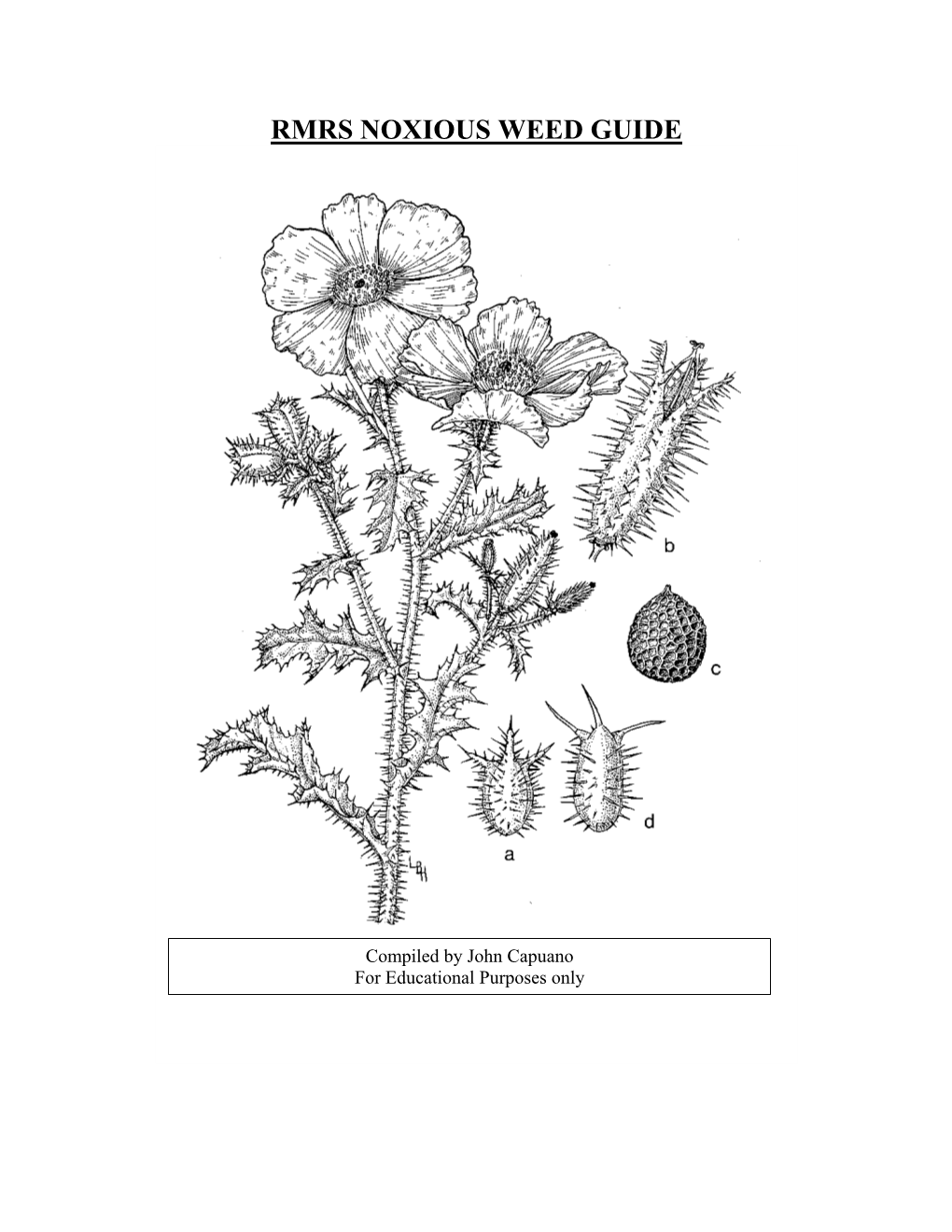 Rmrs Noxious Weed Guide