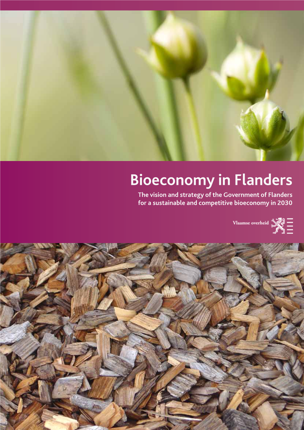 Bioeconomy in Flanders the Vision and Strategy of the Government of Flanders for a Sustainable and Competitive Bioeconomy in 2030