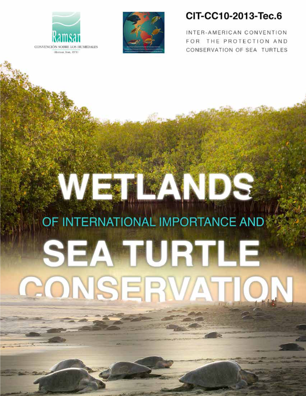 Wetlands of International Importance and Sea Turtle Conservation CIT-CC10-2013- Tec.6