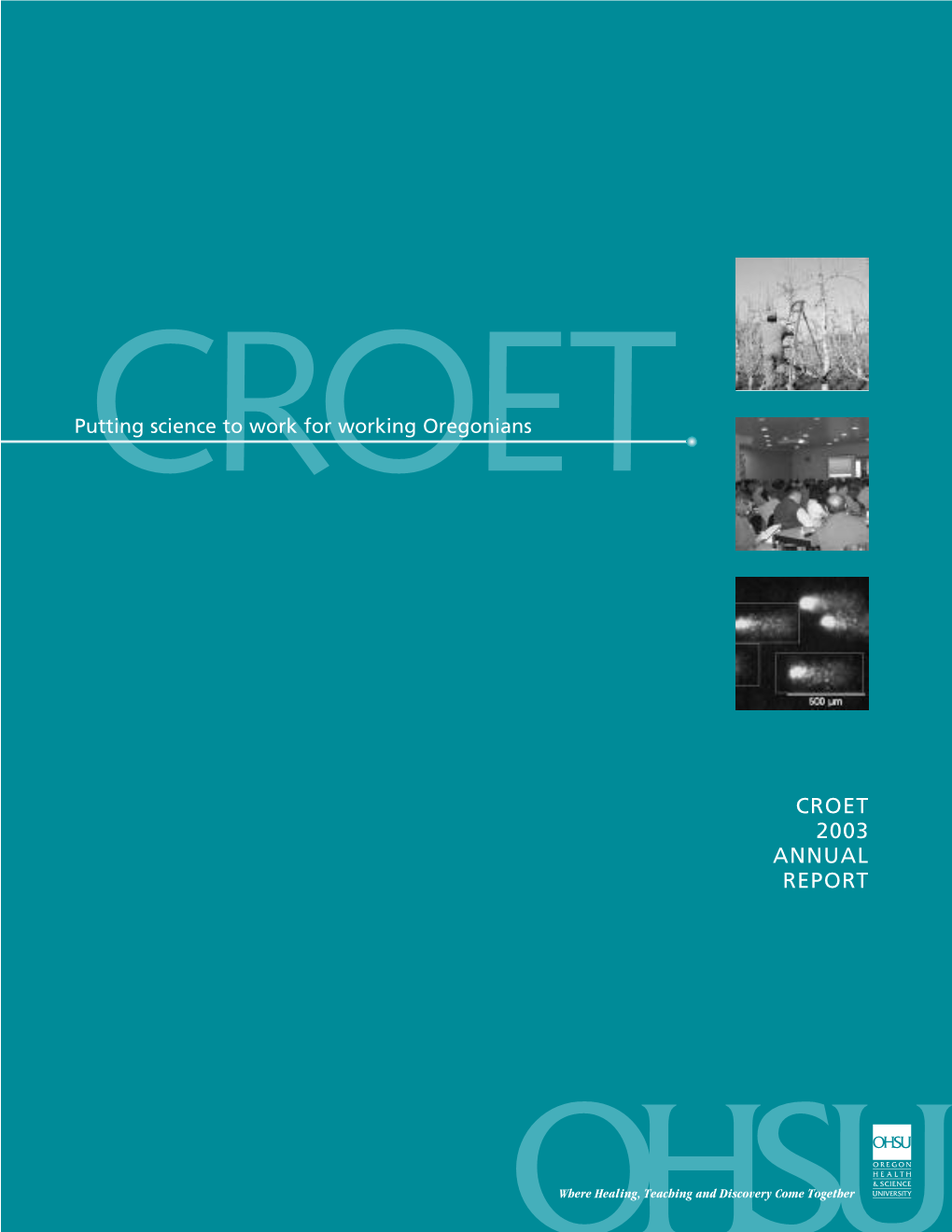 Croet 2003 Annual Report