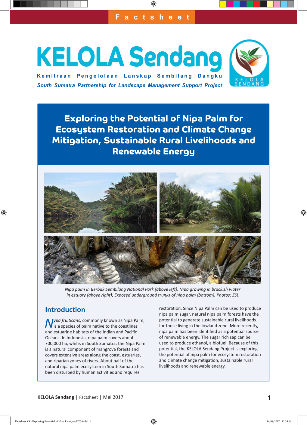 Exploring the Potential of Nipa Palm for Ecosystem Restoration and Climate Change Mitigation, Sustainable Rural Livelihoods and Renewable Energy