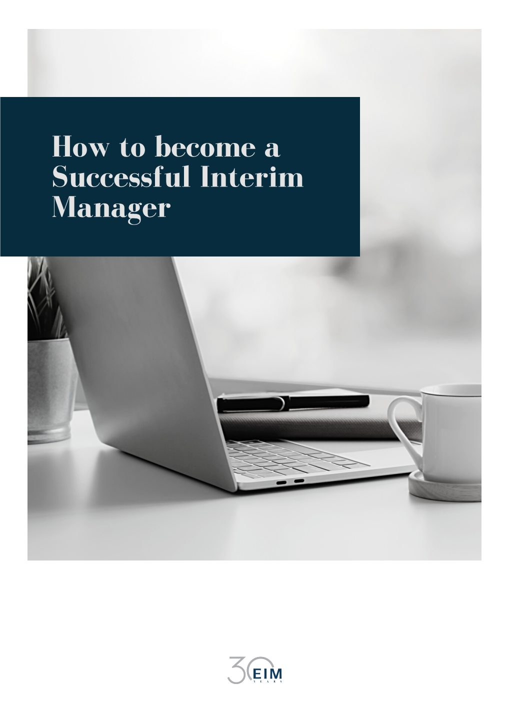 How to Become a Successful Interim Manager Introduction