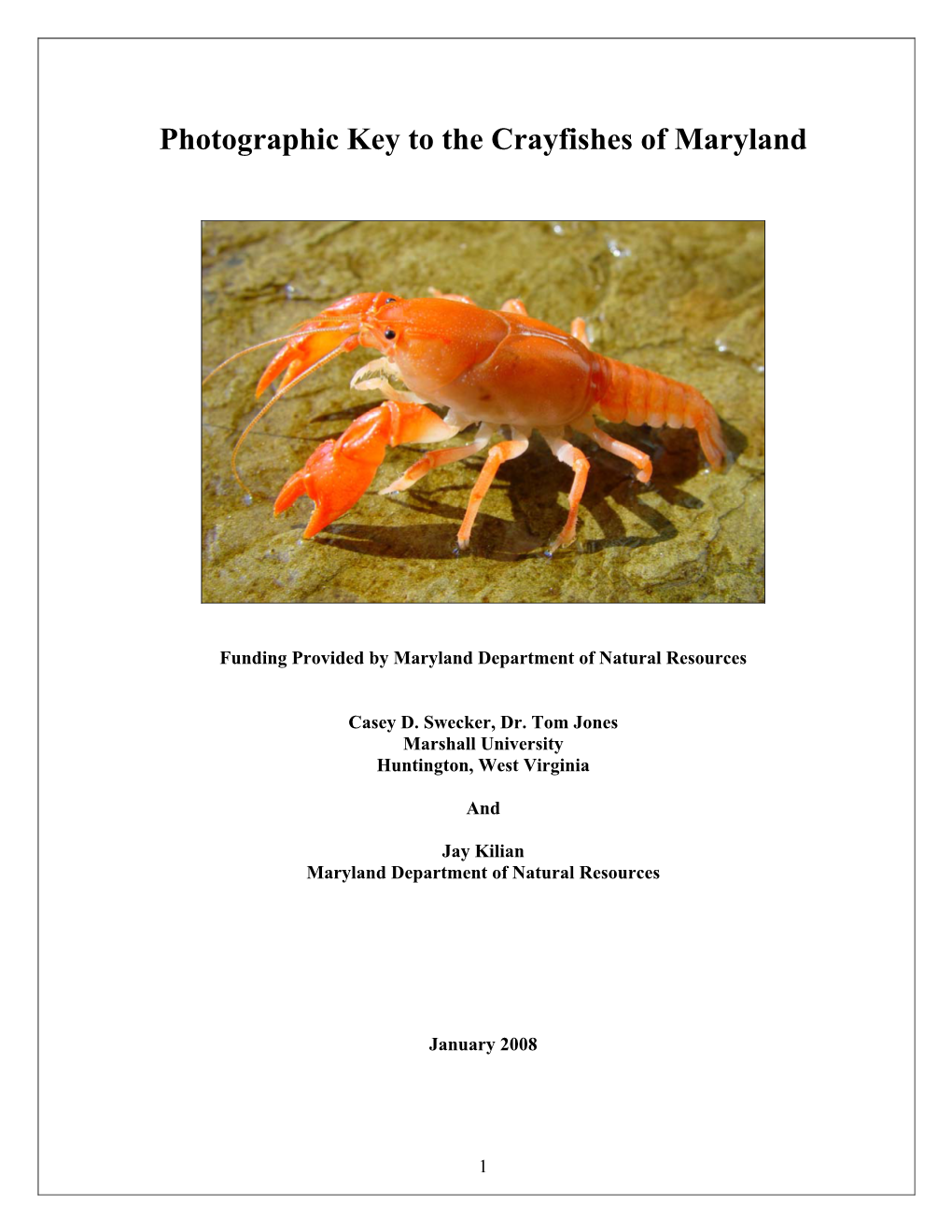 Photographic Key to the Crayfishes of Maryland