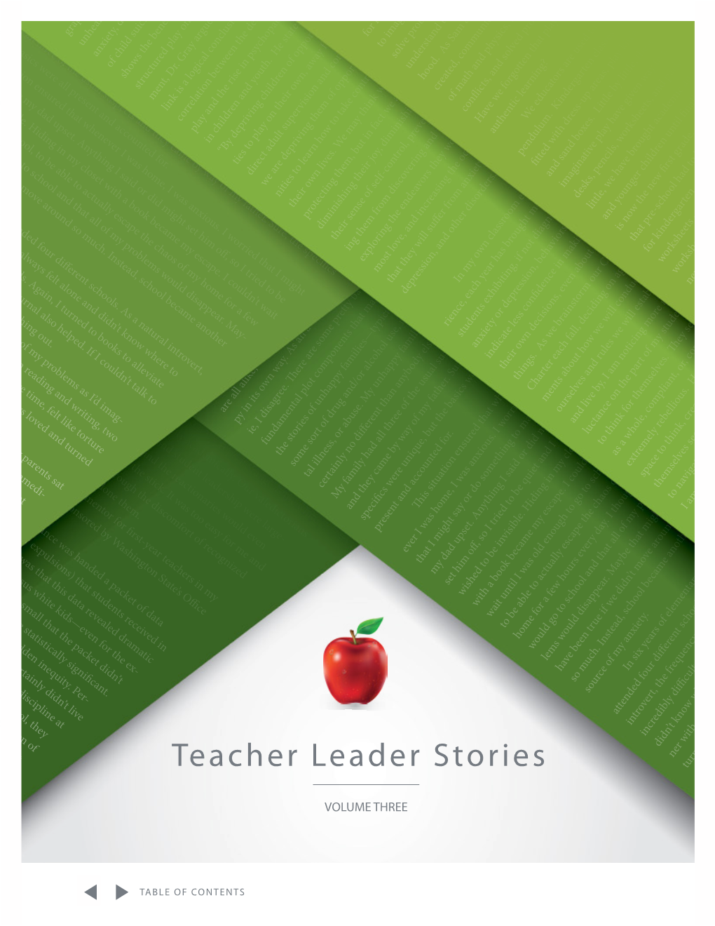 Teacher Leader Stories