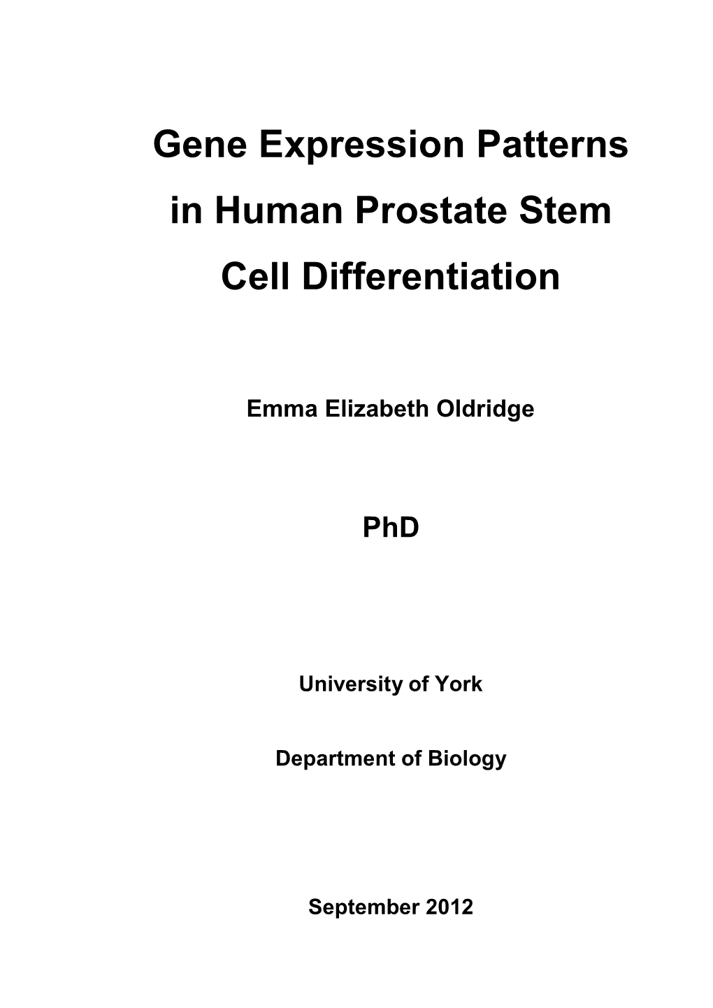 Gene Expression Patterns in Human Prostate Stem Cell Differentiation