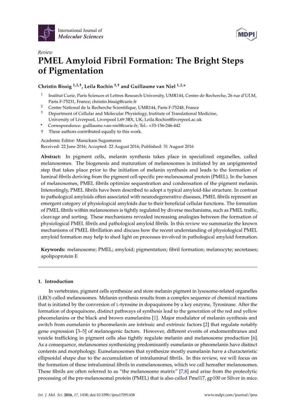 PMEL Amyloid Fibril Formation: the Bright Steps of Pigmentation
