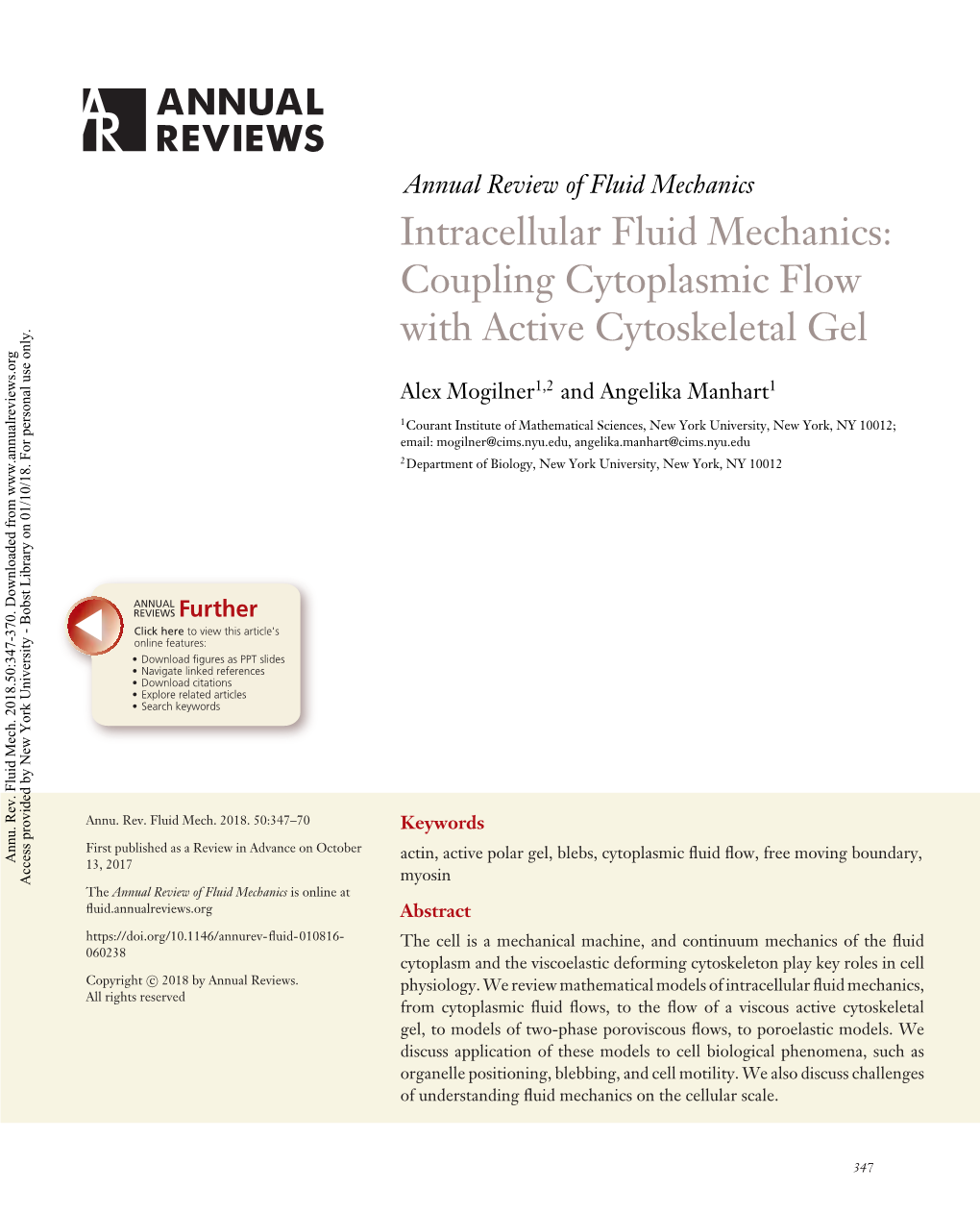 Intracellular Fluid Mechanics: Coupling Cytoplasmic Flow with Active Cytoskeletal Gel