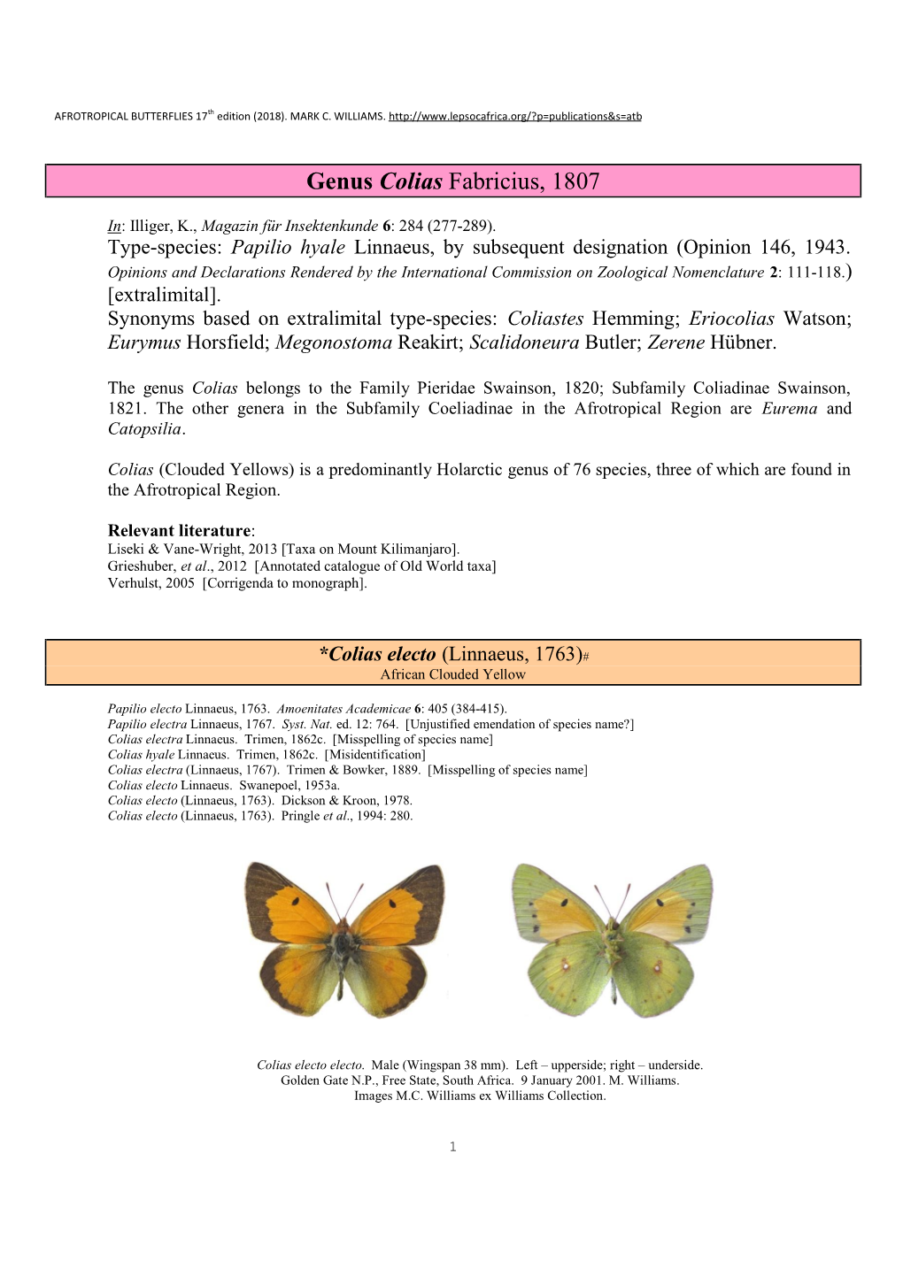 248 Genus Colias Fabricius