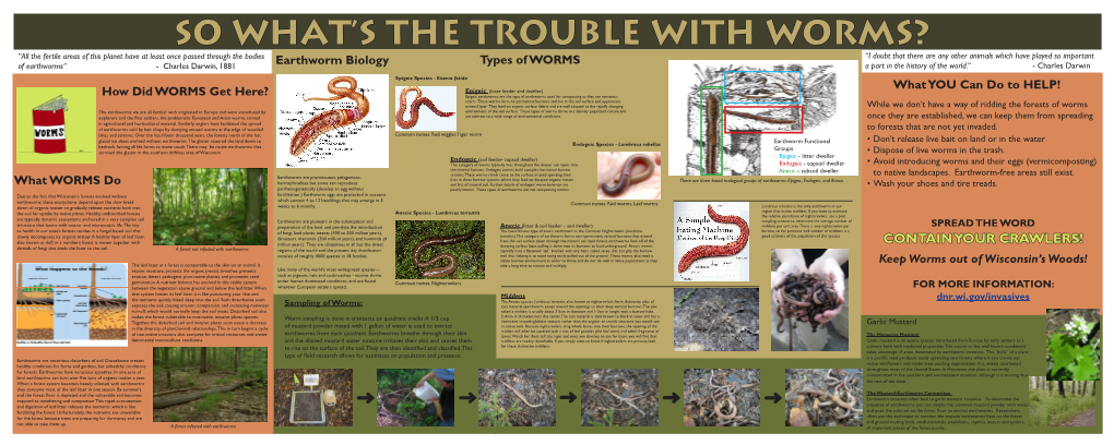 What's the Trouble with Worms