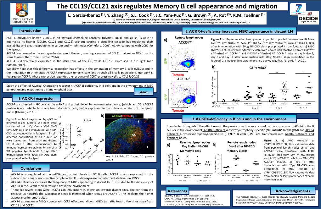 The CCL19/CCL21 Axis Regulates Memory B Cell Appearance and Migration L