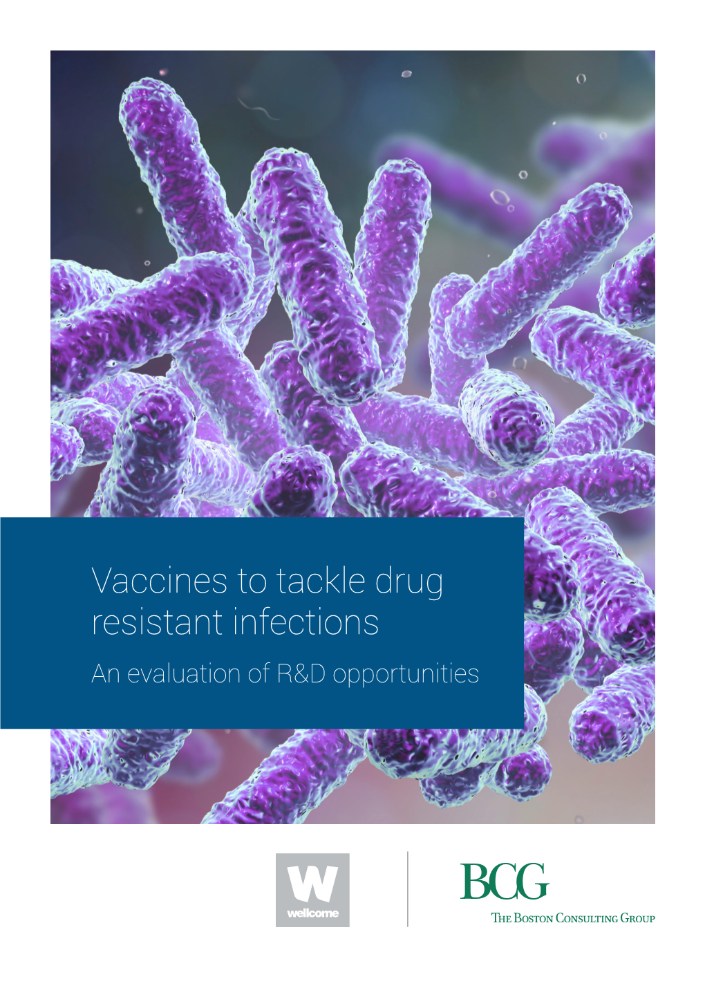 Vaccines to Tackle Drug Resistant Infections an Evaluation of R&D Opportunities Disclaimer