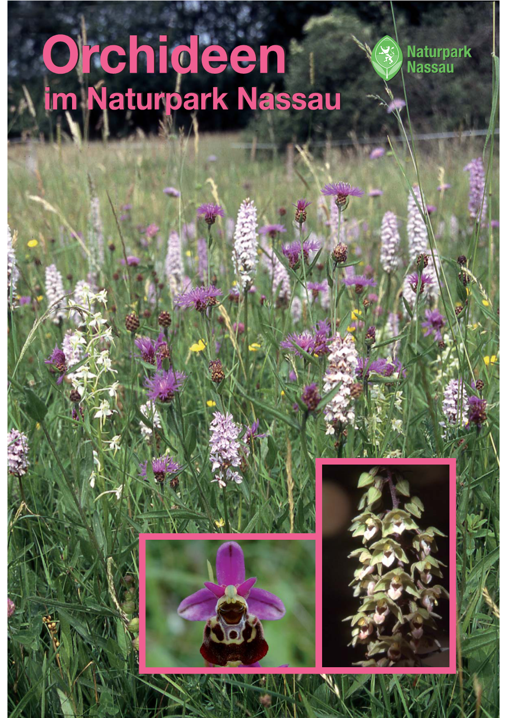 Orchideen.Pdf