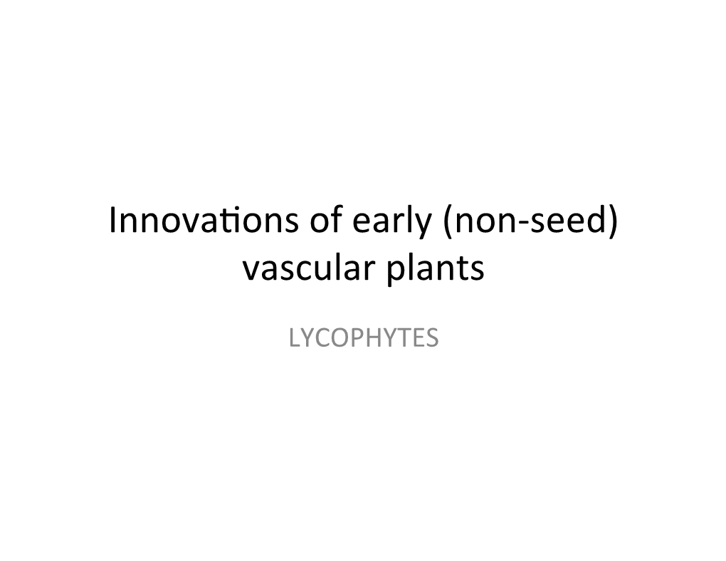 Vascular Plants