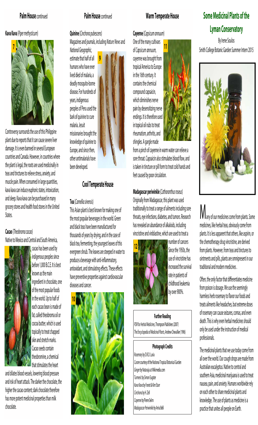 Medicinal Plant Brochure